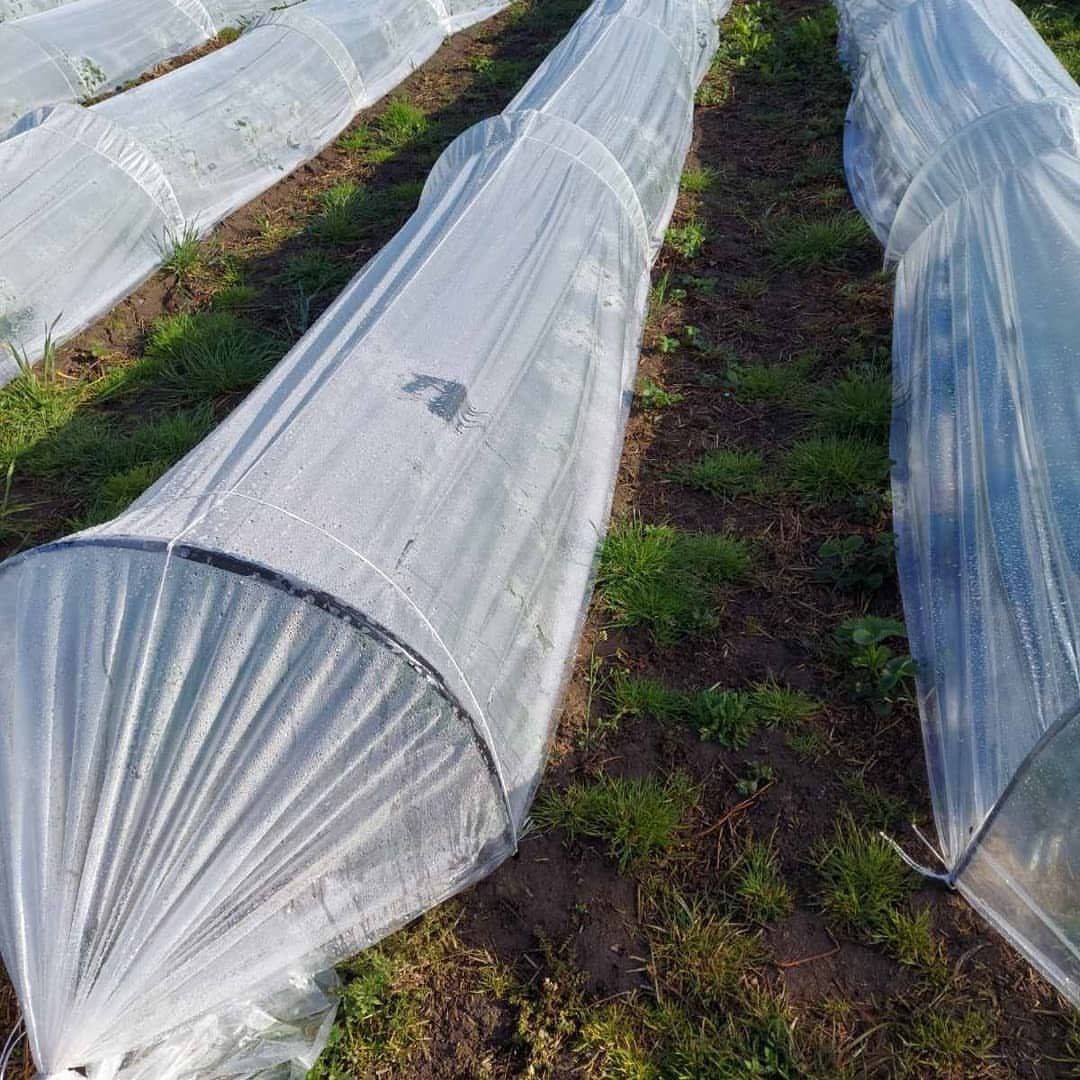 Приклад парника з композитної арматури